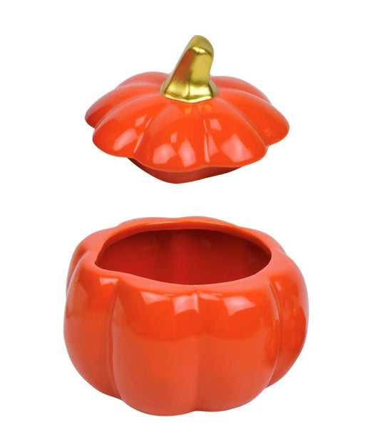 Orange Pumpkin